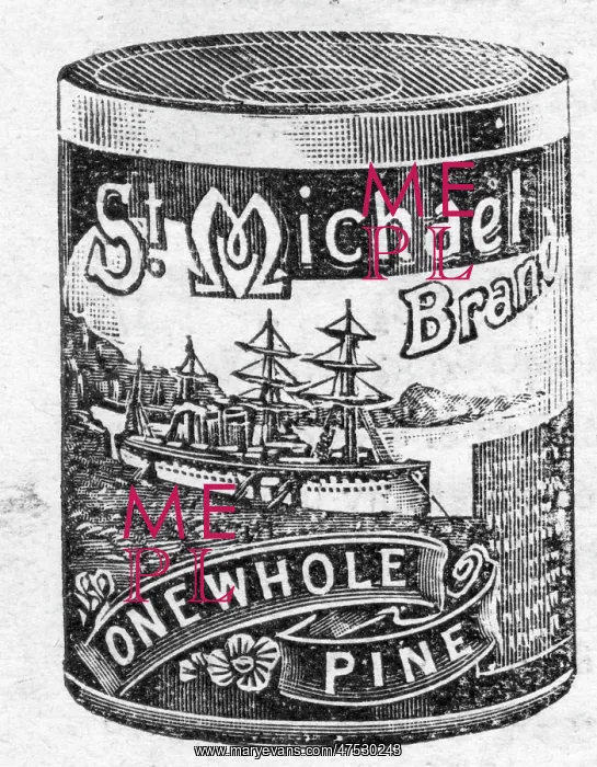  : Tinned Pineapple
