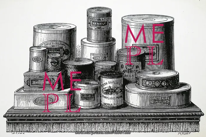  : Tins of meat, fish and vegetables