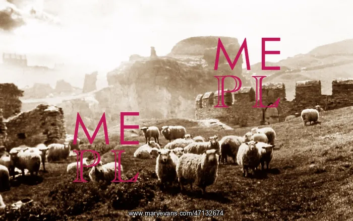  : Tintagel Castle