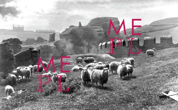  : Tintagel, King Arthur's Castle 1894