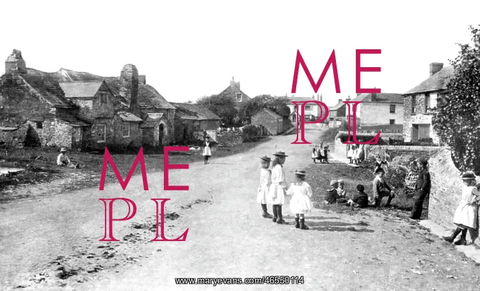  : Tintagel, Village 1894