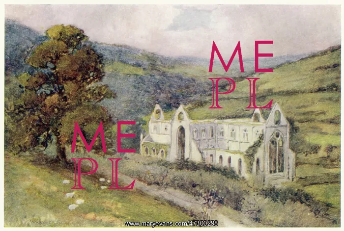 : TINTERN ABBEY / 1908 : TINTERN ABBEY / 1908
