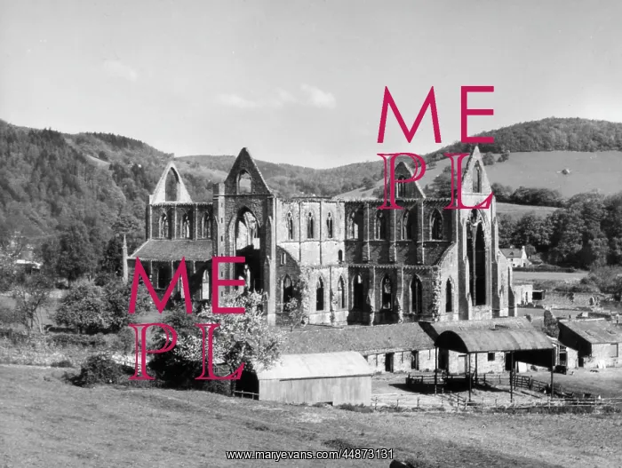 : TINTERN ABBEY : TINTERN ABBEY