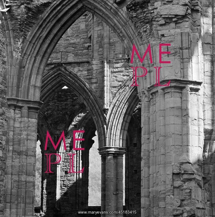 : Tintern Abbey : Tintern Abbey