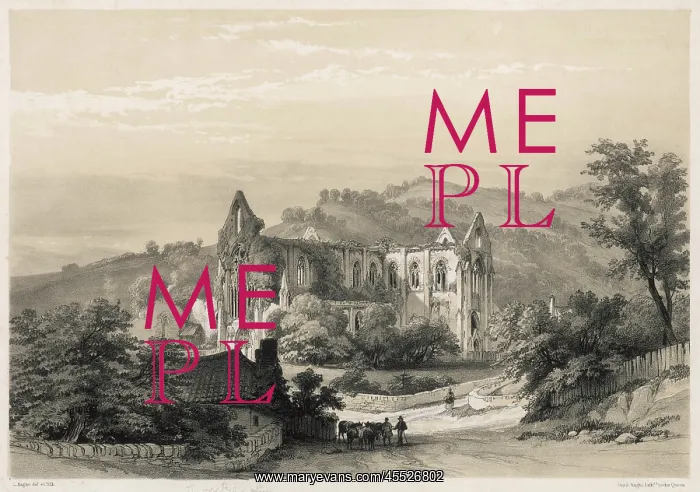 : TINTERN ABBEY : TINTERN ABBEY