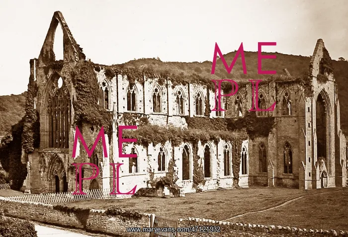  : Tintern Abbey