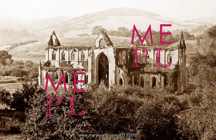  : Tintern Abbey