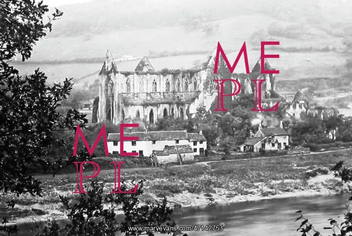  : Tintern Abbey