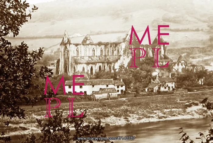 : Tintern Abbey : Tintern Abbey
