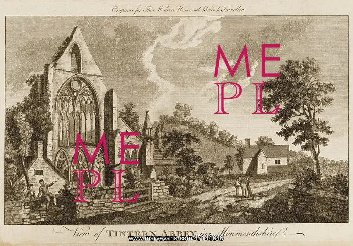  : Tintern Abbey