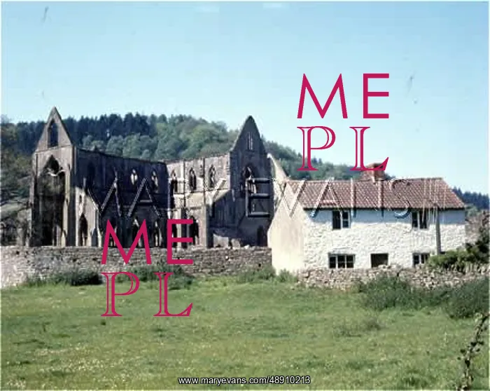 : TINTERN ABBEY : TINTERN ABBEY