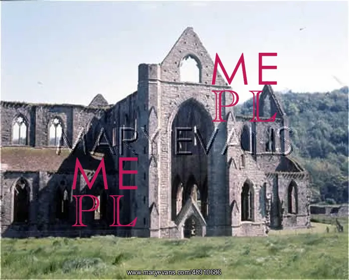 : TINTERN ABBEY : TINTERN ABBEY