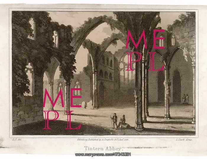  : TINTERN ABBEY / CLARK