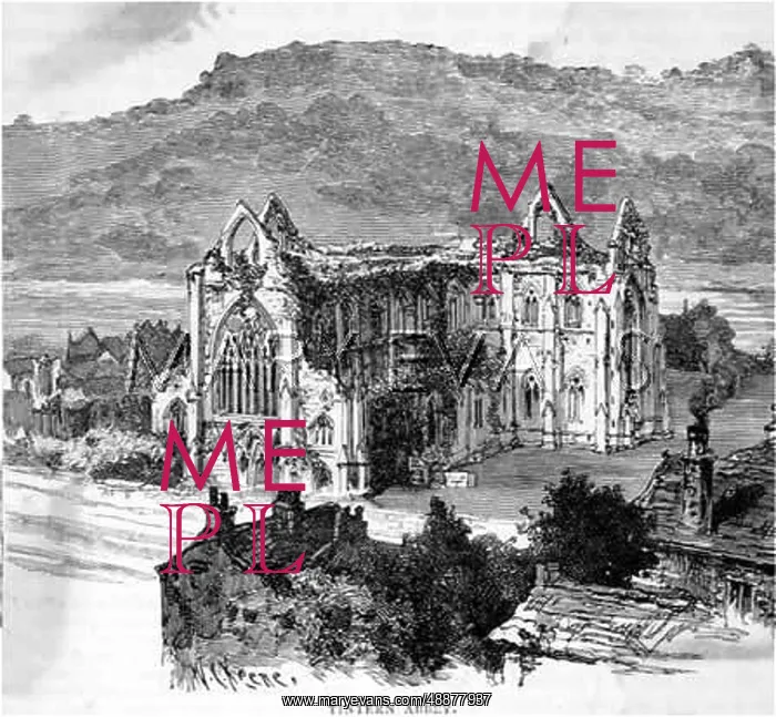  : TINTERN ABBEY / FROM ABOVE