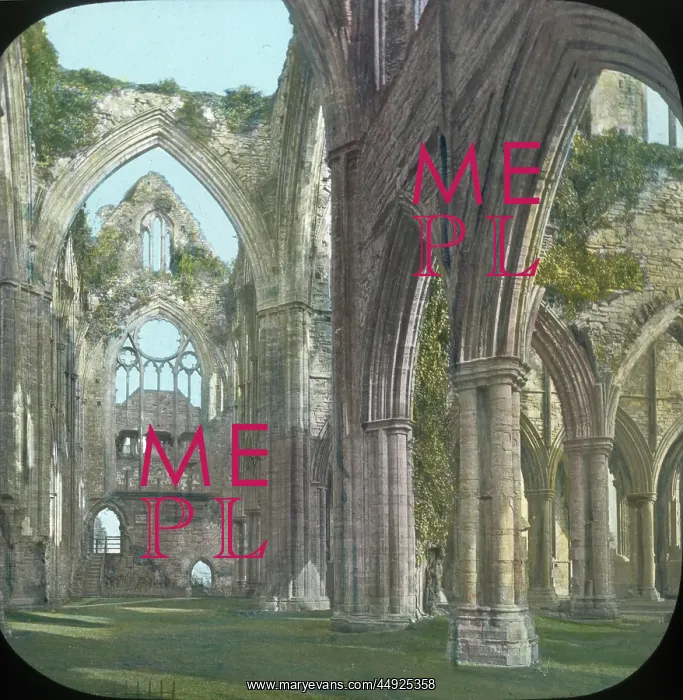 : Tintern Abbey (interior of Transepts), Monmouthshire, Wales : Tintern Abbey (interior of Transepts), Monmouthshire, Wales