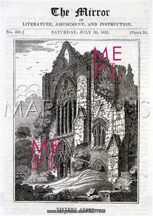 : TINTERN ABBEY / MIRROR : TINTERN ABBEY / MIRROR