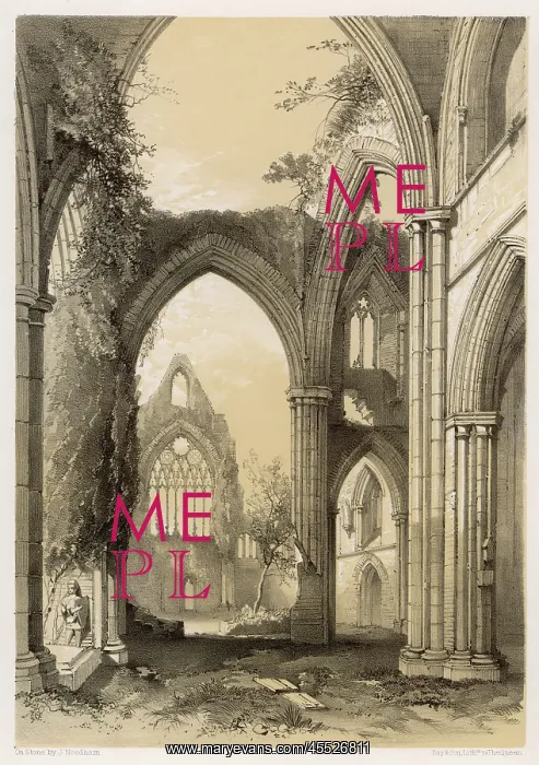 : TINTERN ABBEY RUINS : TINTERN ABBEY RUINS