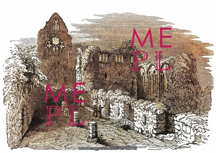 : TINTERN ABBEY RUINS