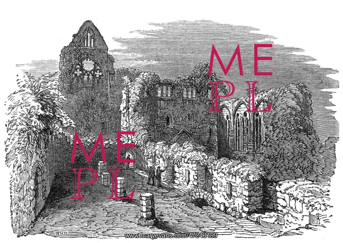  : TINTERN ABBEY RUINS