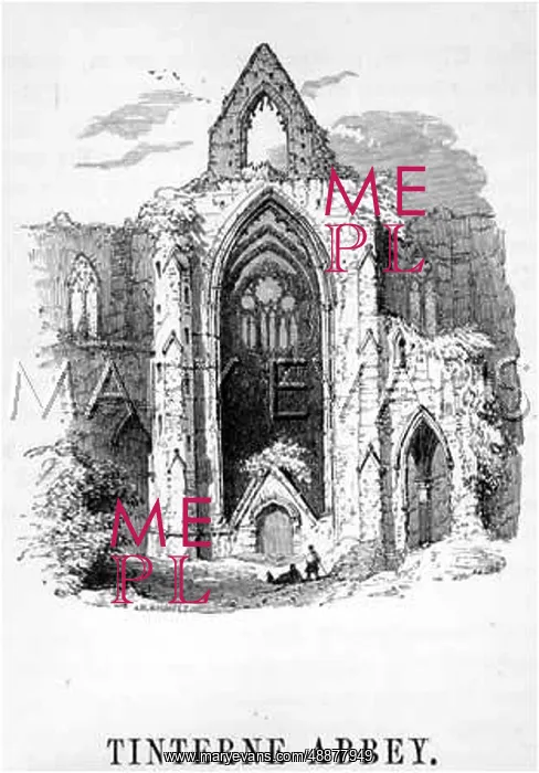  : TINTERN ABBEY RUINS