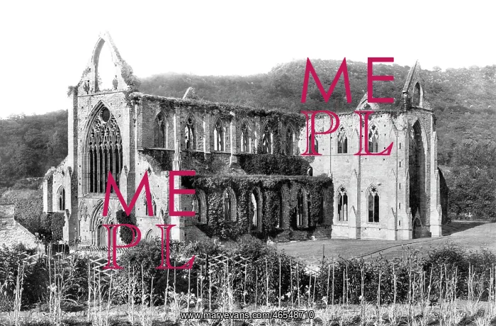  : Tintern, the Abbey from the south west 1893