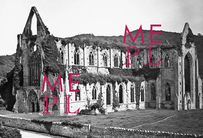  : Tintern Abbey Victorian period