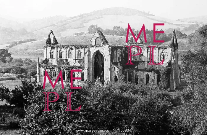  : Tintern Abbey, Victorian period