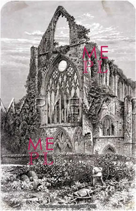 : TINTERN / WEST FRONT / 1875 : TINTERN / WEST FRONT / 1875