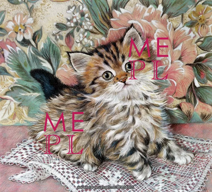 : Tiny Tiger ' small fluffy tabby kitten : Tiny Tiger ' small fluffy tabby kitten