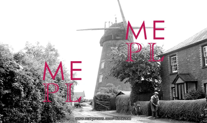 : Tiptree, Messing Maypole Mill c1955