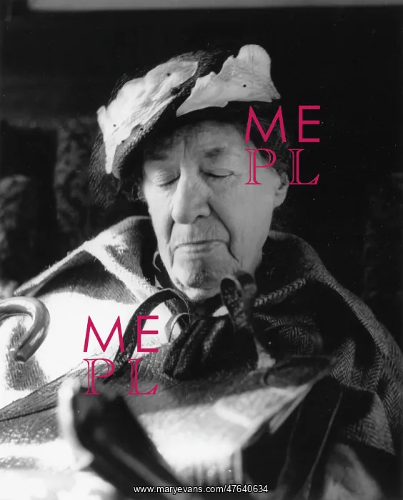  : Tired elderly woman on a train