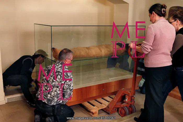 : Tissue sampling operation of an Egyptian mummy : Tissue sampling operation of an Egyptian mummy