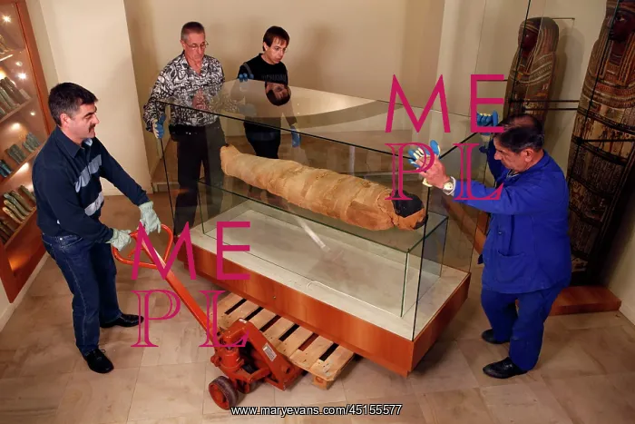 : Tissue sampling operation of an Egyptian mummy : Tissue sampling operation of an Egyptian mummy