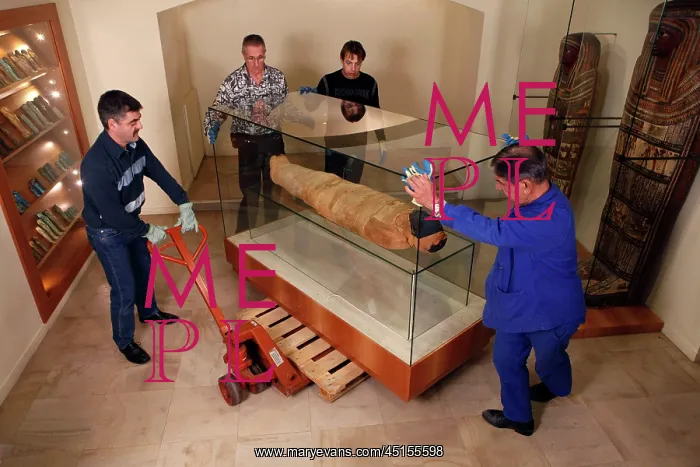 : Tissue sampling operation of an Egyptian mummy : Tissue sampling operation of an Egyptian mummy