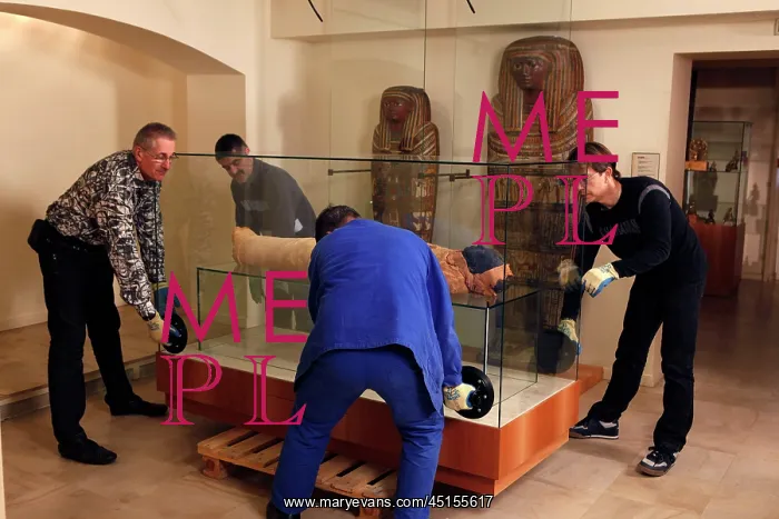 : Tissue sampling operation of an Egyptian mummy : Tissue sampling operation of an Egyptian mummy