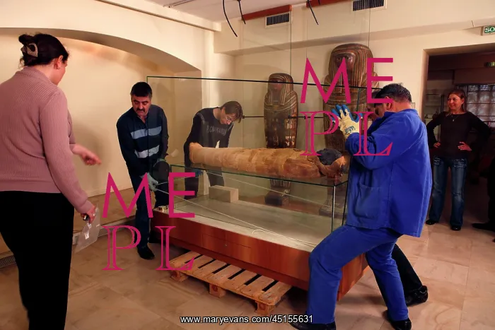 : Tissue sampling operation of an Egyptian mummy : Tissue sampling operation of an Egyptian mummy