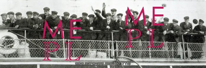 : The Titanic's crew catch sight of their relatives and friend : The Titanic's crew catch sight of their relatives and friend