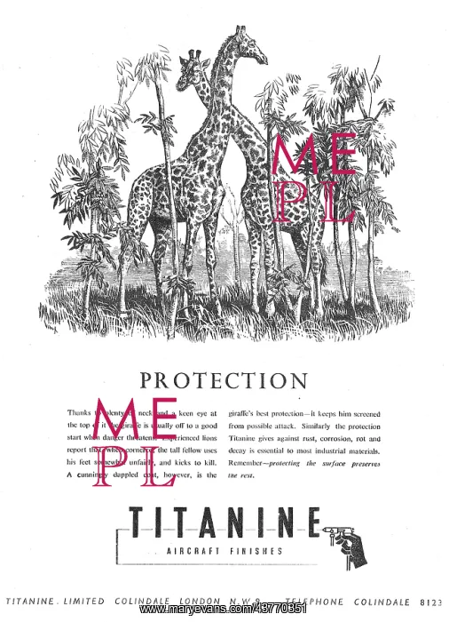 : Titanine Aircraft Finishes : Titanine Aircraft Finishes