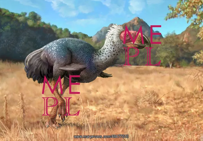 : Titanis walleri, a flightless carnivorous bird from the ? : Titanis walleri, a flightless carnivorous bird from the ?