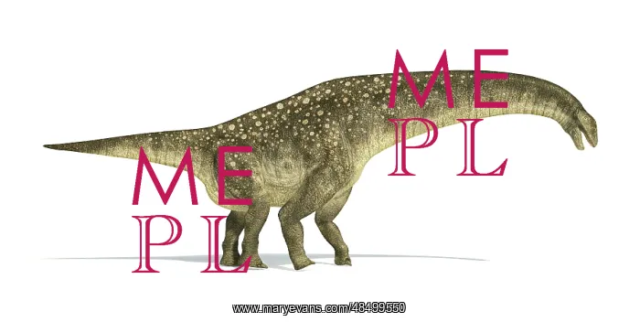 : Titanosaurus dinosaur on white background : Titanosaurus dinosaur on white background