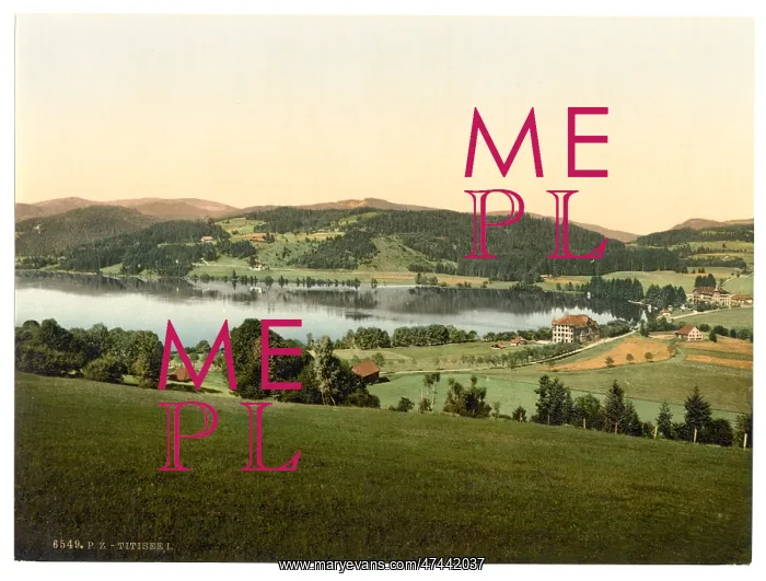 : Titisee, general view, Black Forest, Baden, Germany : Titisee, general view, Black Forest, Baden, Germany
