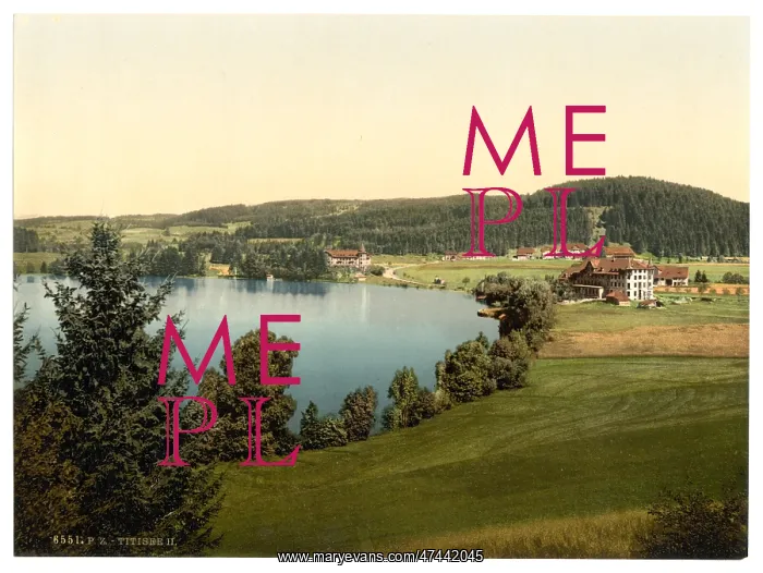 : Titisee, general view, Black Forest, Baden, Germany : Titisee, general view, Black Forest, Baden, Germany