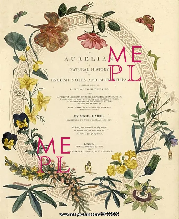 : Title page to The Aurelian : Title page to The Aurelian