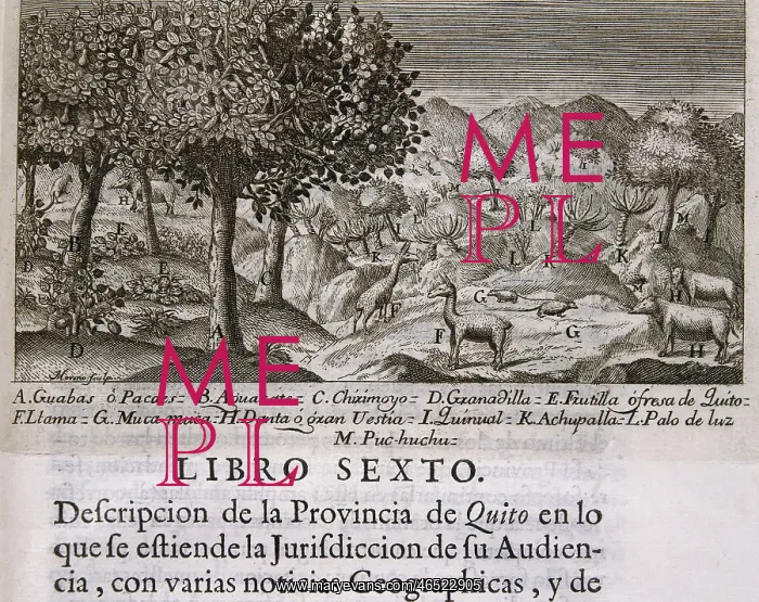 : Title page of the book Description of Quito : Title page of the book Description of Quito