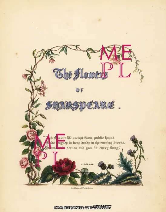 : Title page with calligraphic title and floral vignette : Title page with calligraphic title and floral vignette