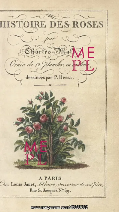 : Title page with calligraphic title and vignette : Title page with calligraphic title and vignette