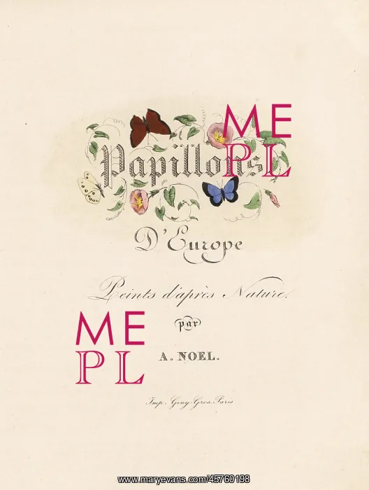 : Title page with decorative calligraphy among : Title page with decorative calligraphy among