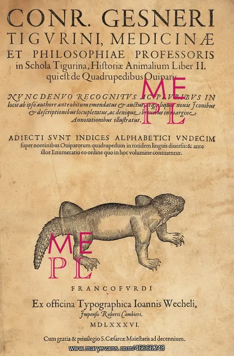 : Title page to the Oviparous Quadrupeds volume : Title page to the Oviparous Quadrupeds volume