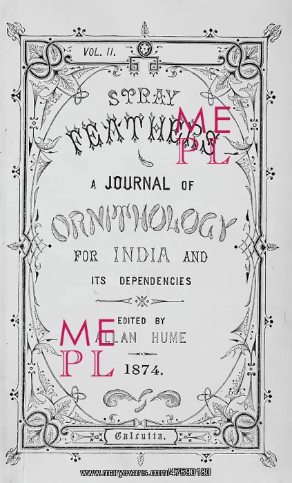  : Title page from Stray Feathers