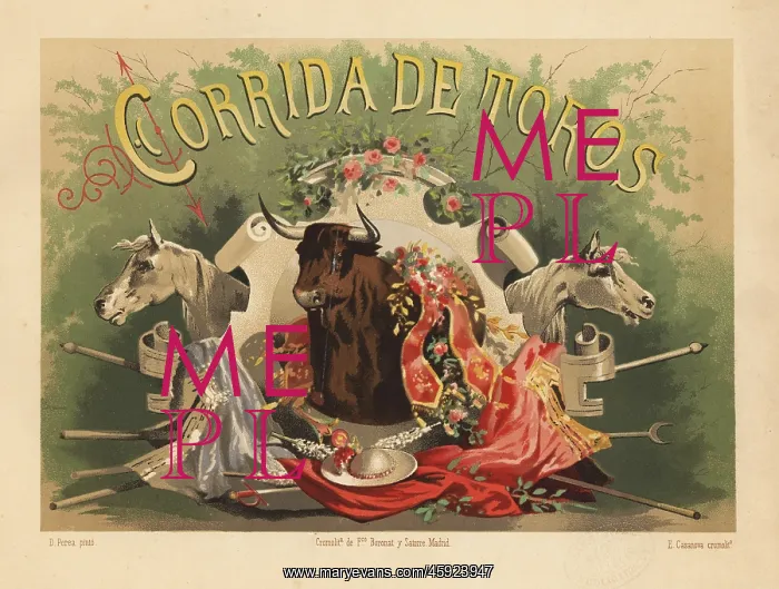 : Title page with vignette of bull, picador : Title page with vignette of bull, picador